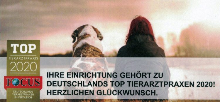 Die Faschingssitzung war ein totaler Erfolg!